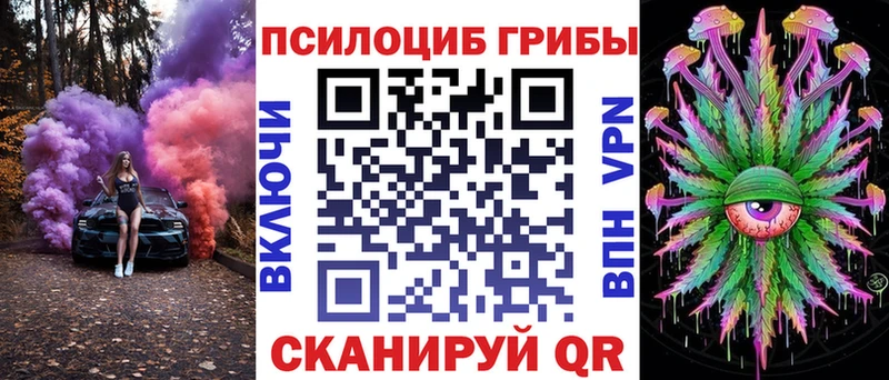 Галлюциногенные грибы Psilocybine cubensis  Порхов 